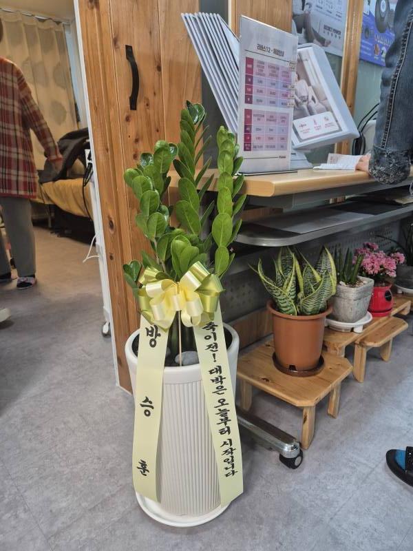 업로드 이미지