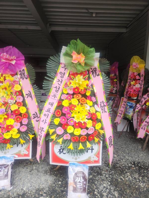 업로드 이미지