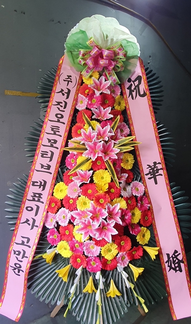 업로드 이미지