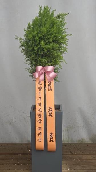 업로드 이미지