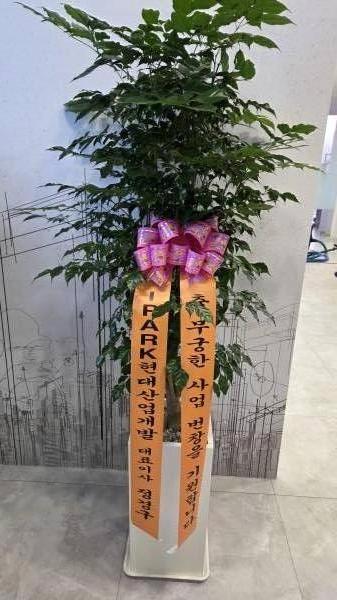 업로드 이미지