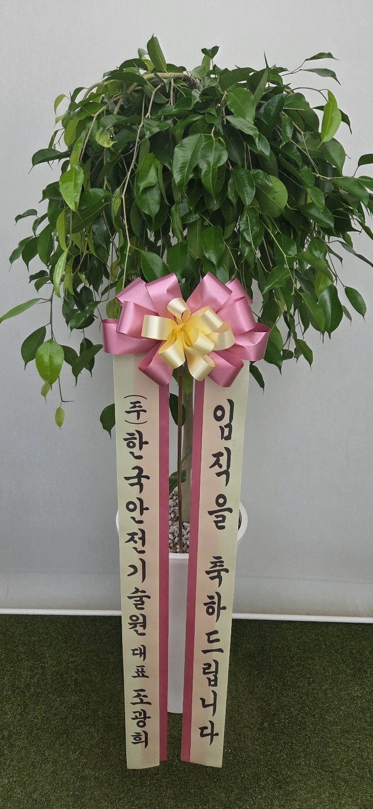 업로드 이미지