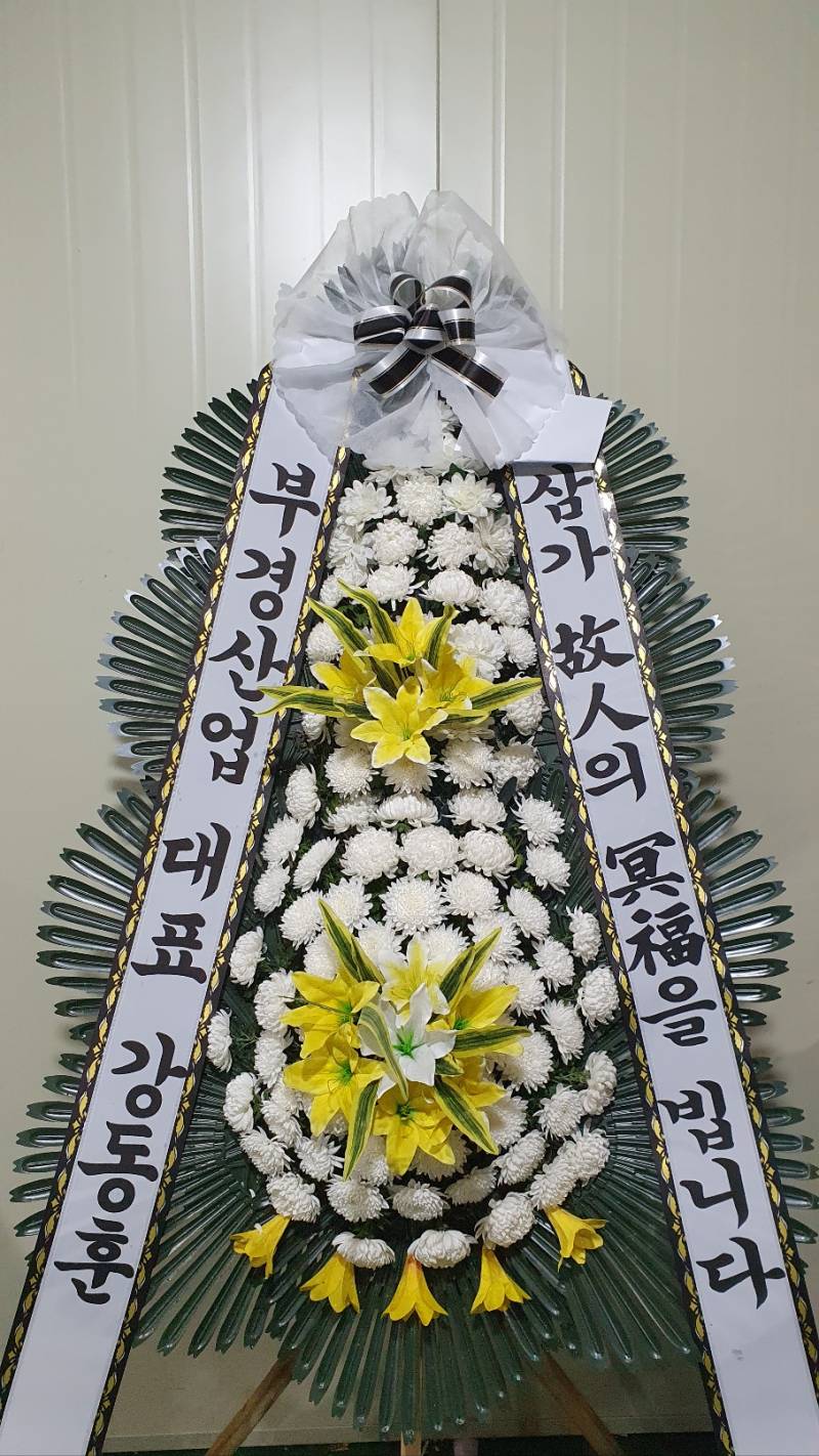 업로드 이미지