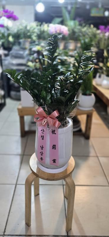 업로드 이미지