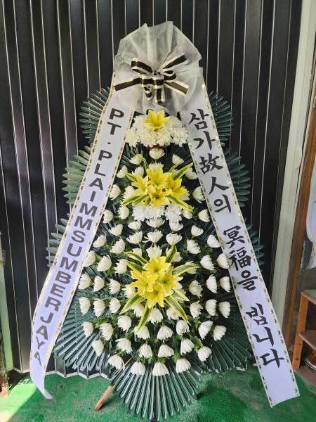 업로드 이미지
