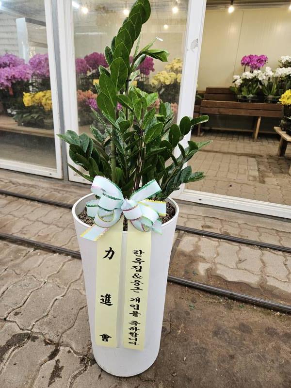 업로드 이미지