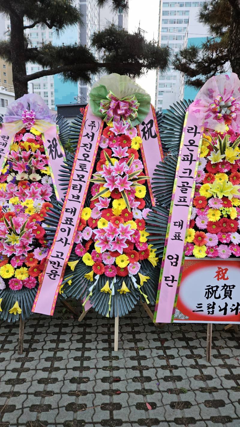 업로드 이미지