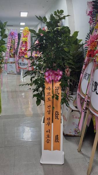 업로드 이미지