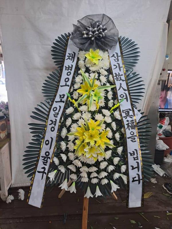 업로드 이미지