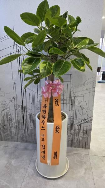 업로드 이미지