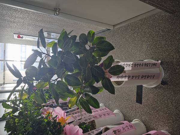 업로드 이미지