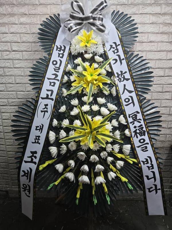 업로드 이미지