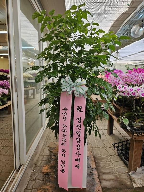 업로드 이미지