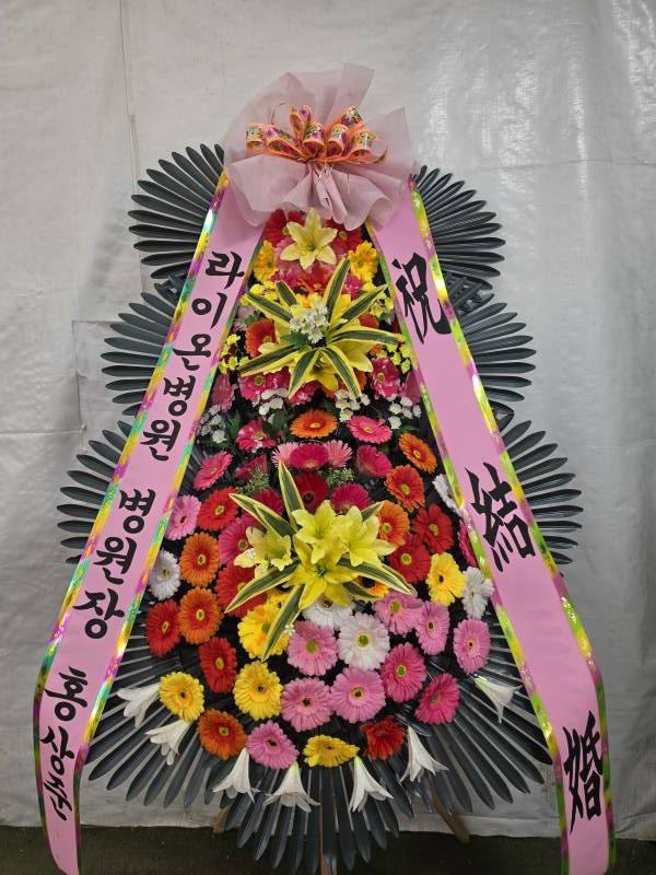 업로드 이미지