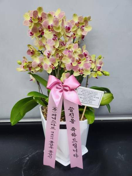 업로드 이미지