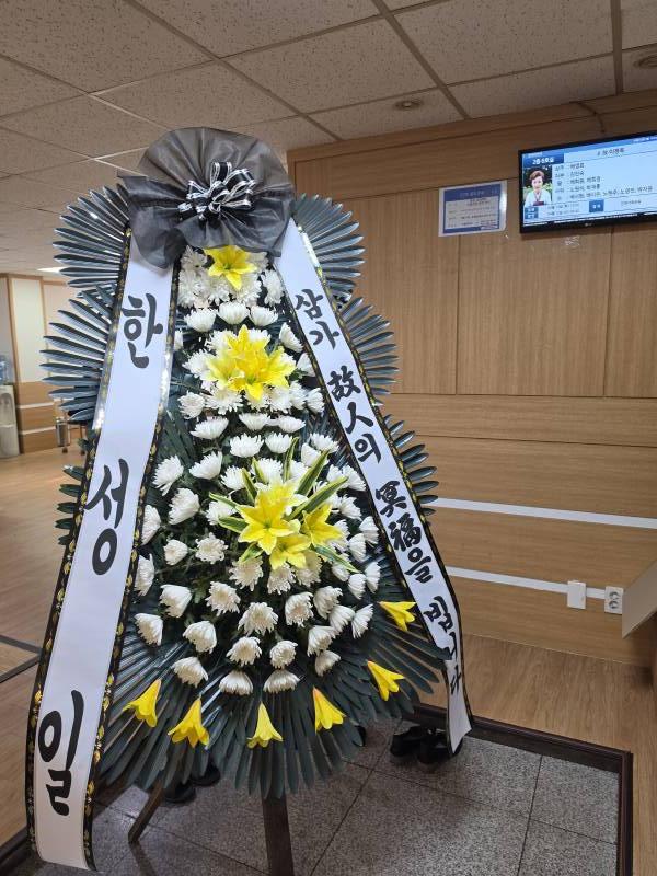 업로드 이미지