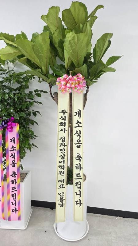 업로드 이미지