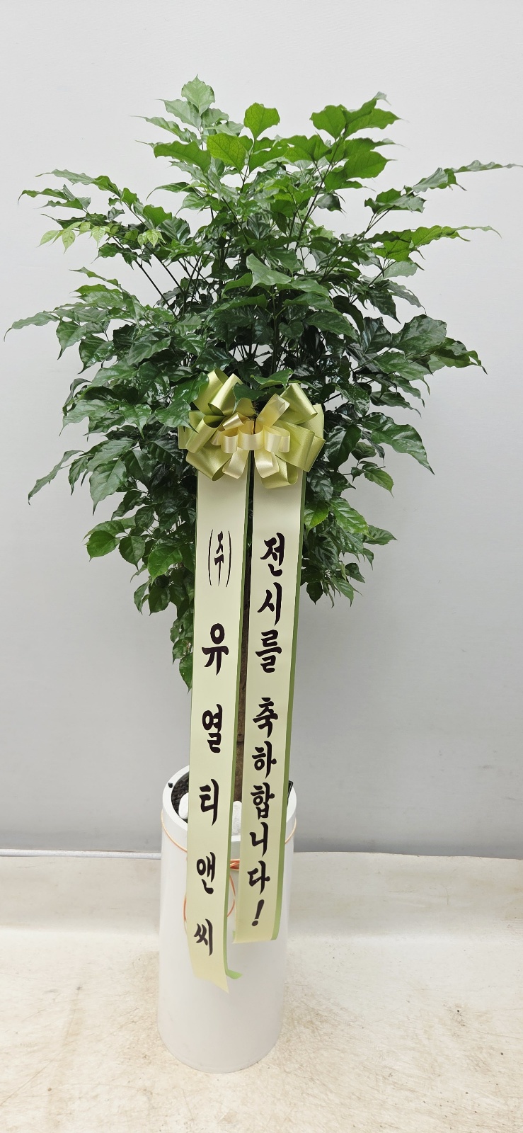 업로드 이미지