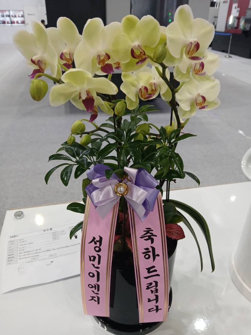 업로드 이미지