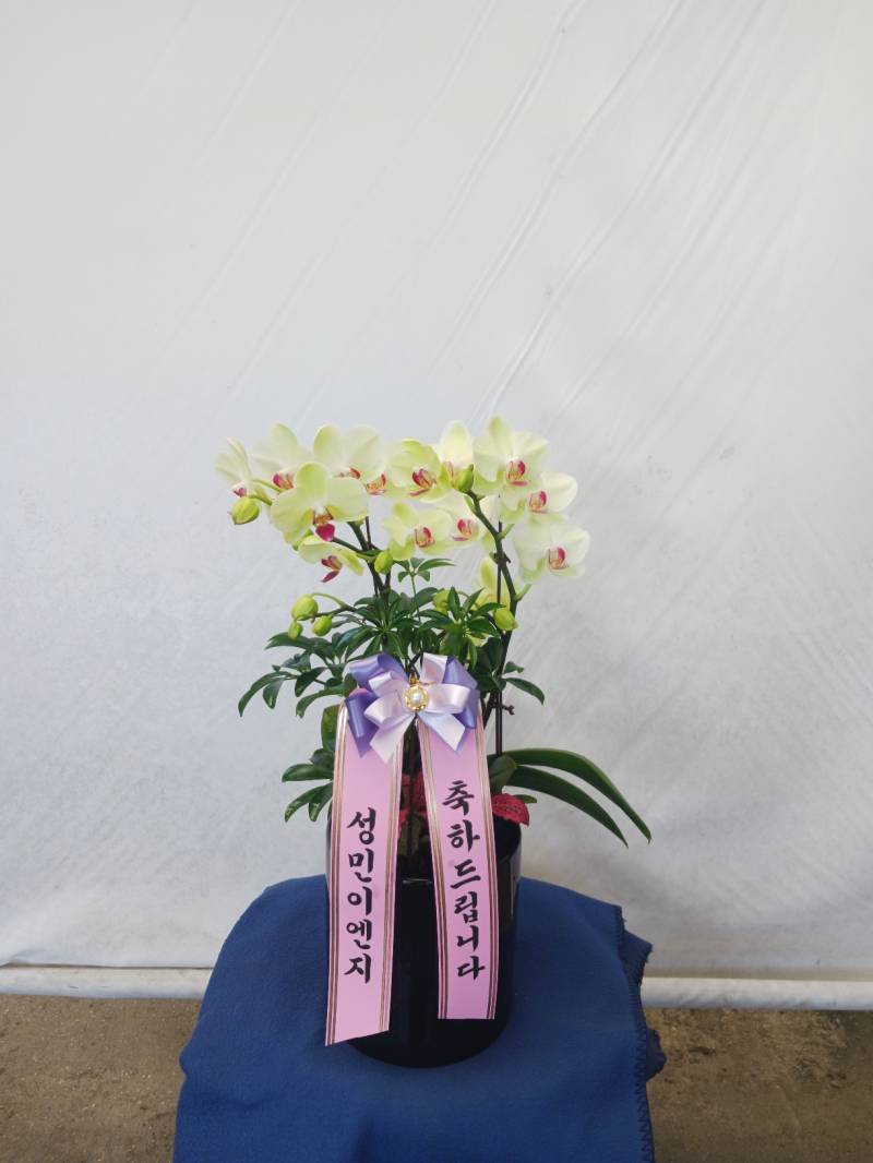 업로드 이미지