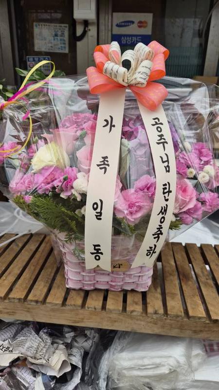 업로드 이미지