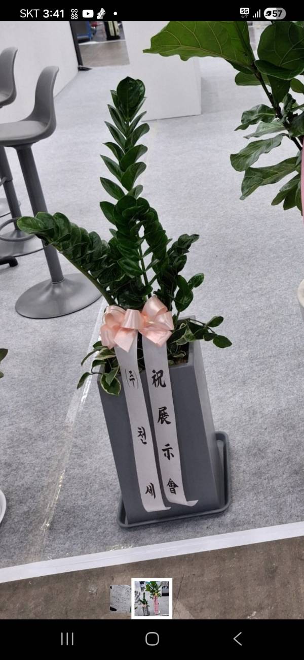 업로드 이미지