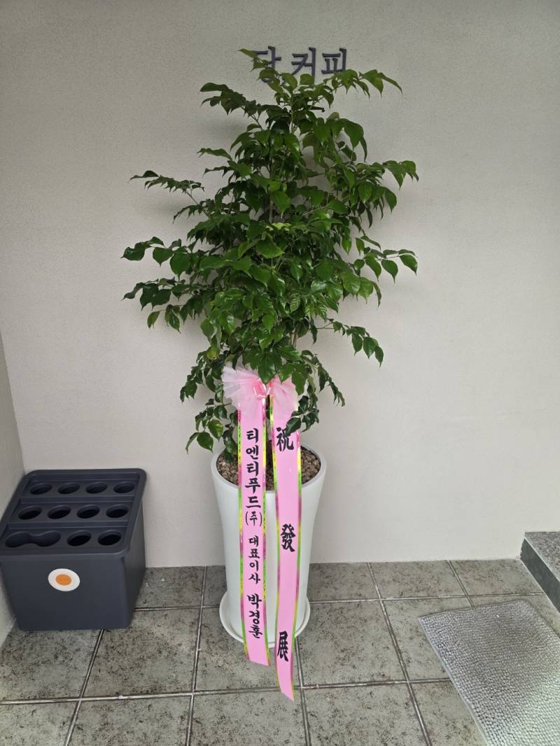 업로드 이미지
