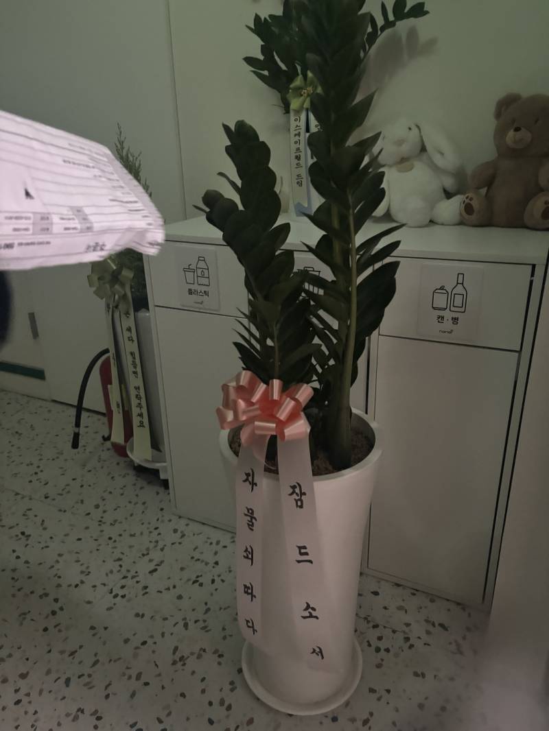 업로드 이미지