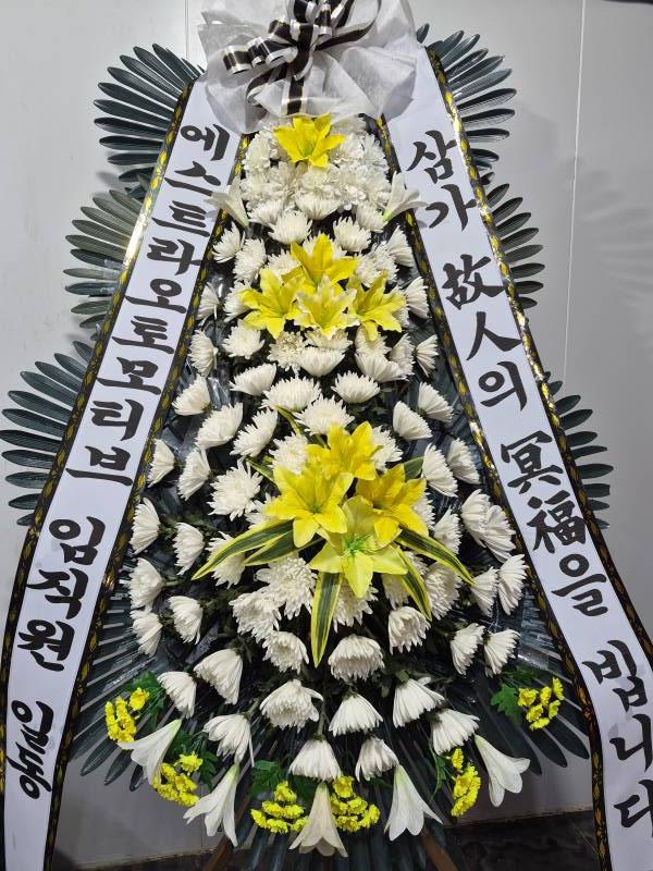 업로드 이미지
