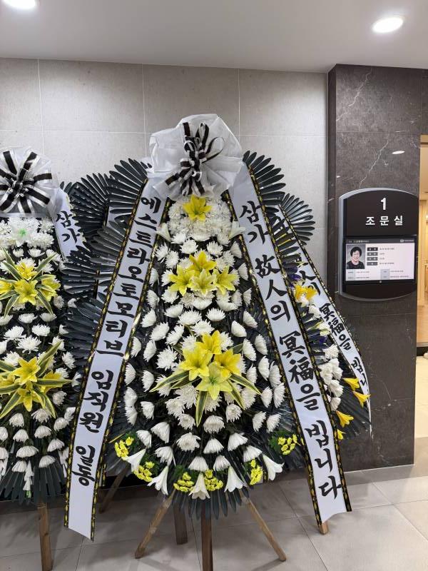 업로드 이미지