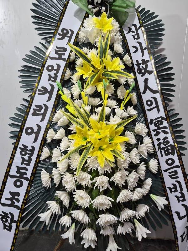 업로드 이미지