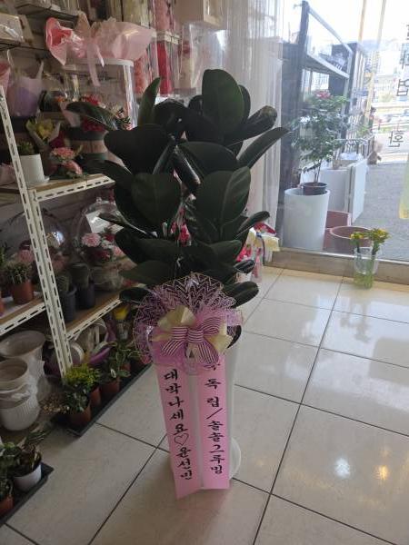 업로드 이미지