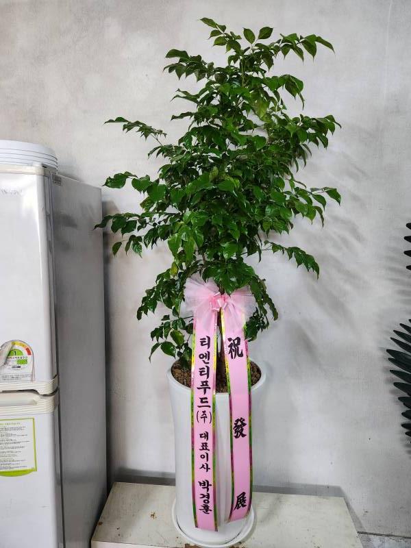 업로드 이미지