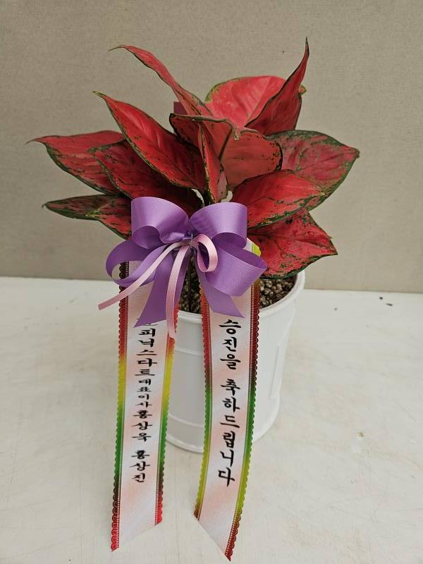 업로드 이미지