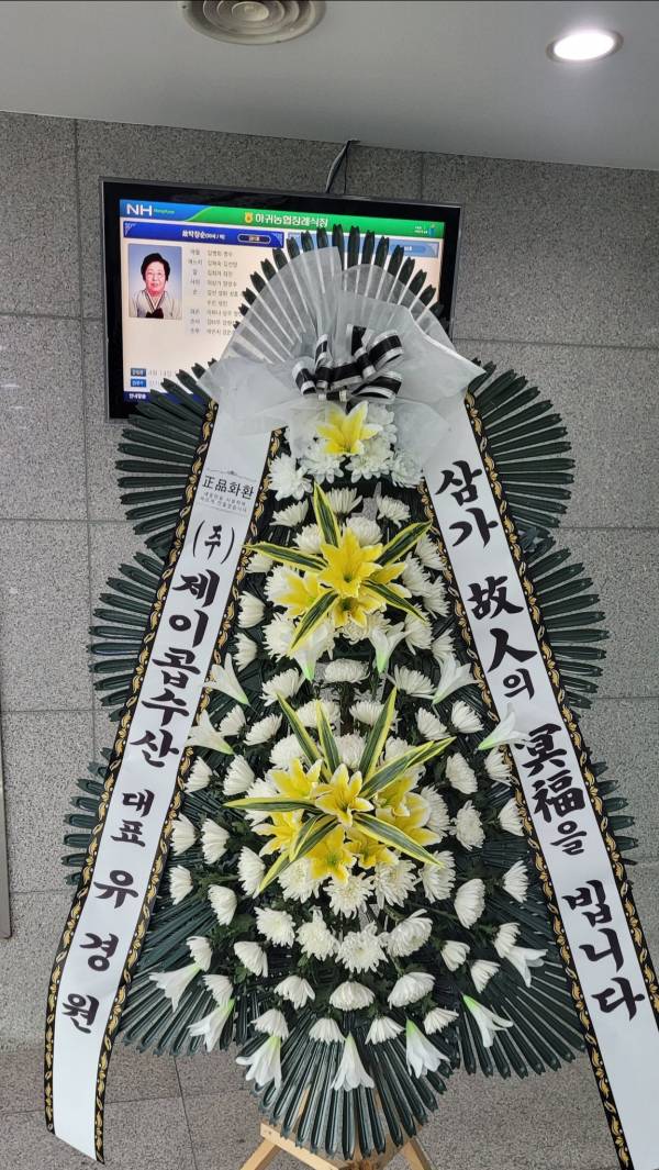 업로드 이미지