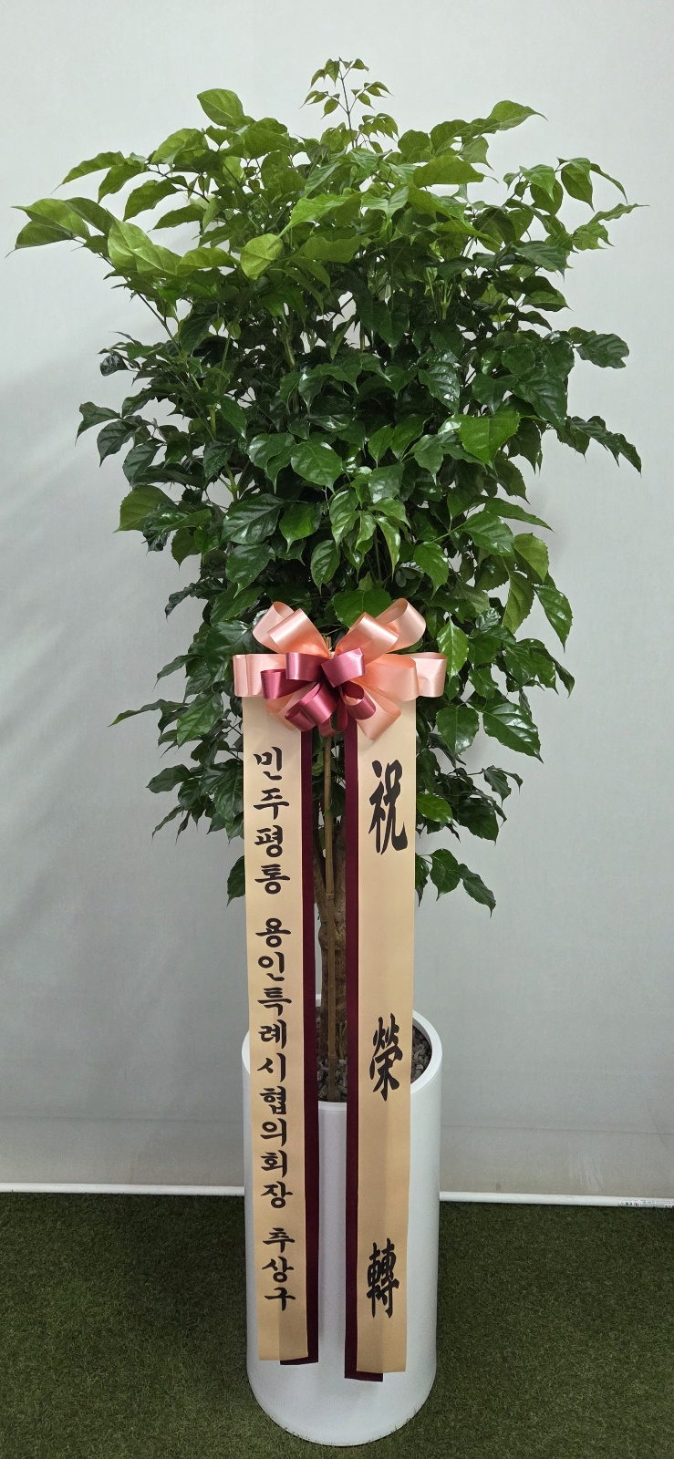 업로드 이미지