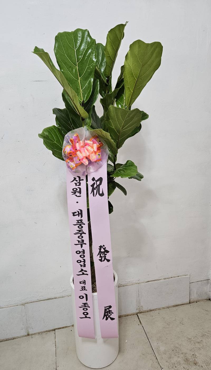 업로드 이미지