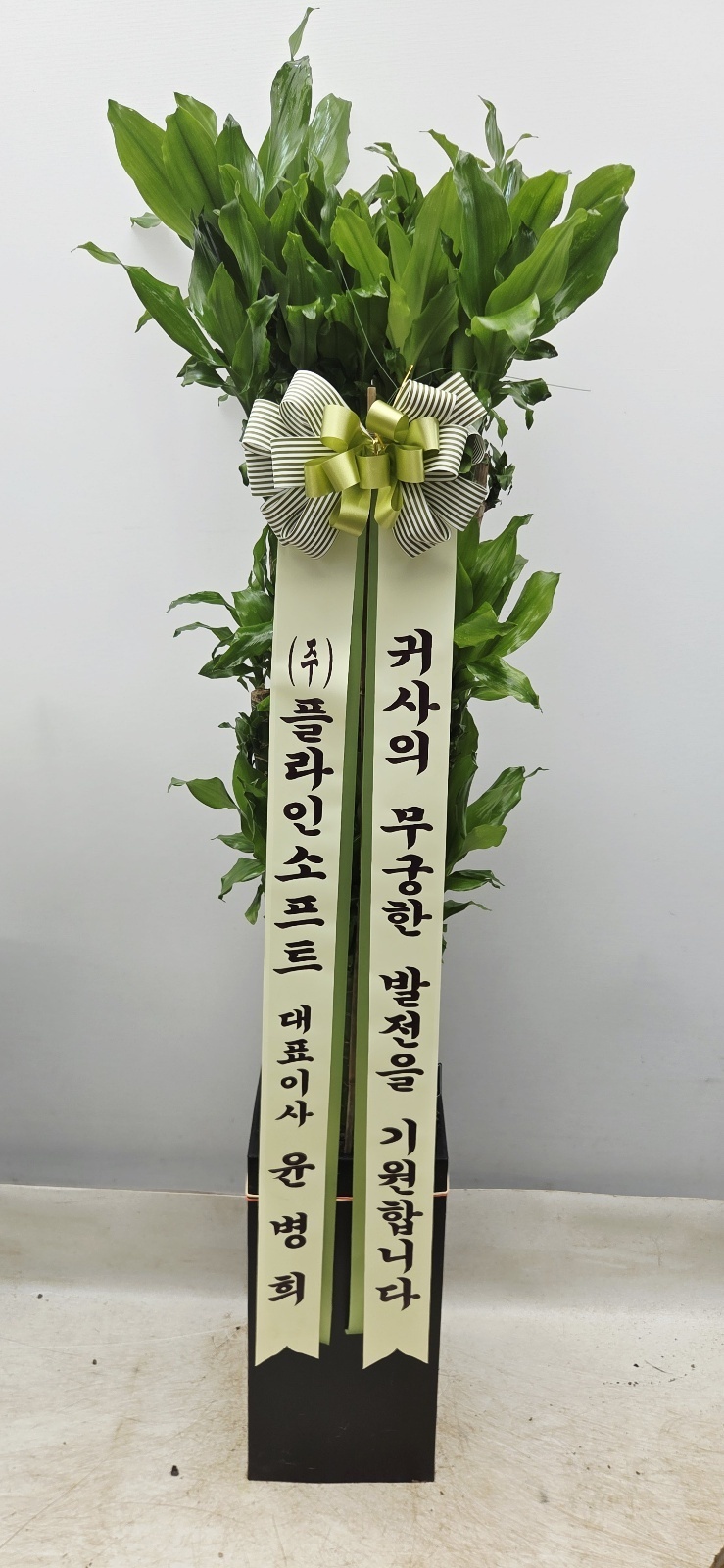 배송사진