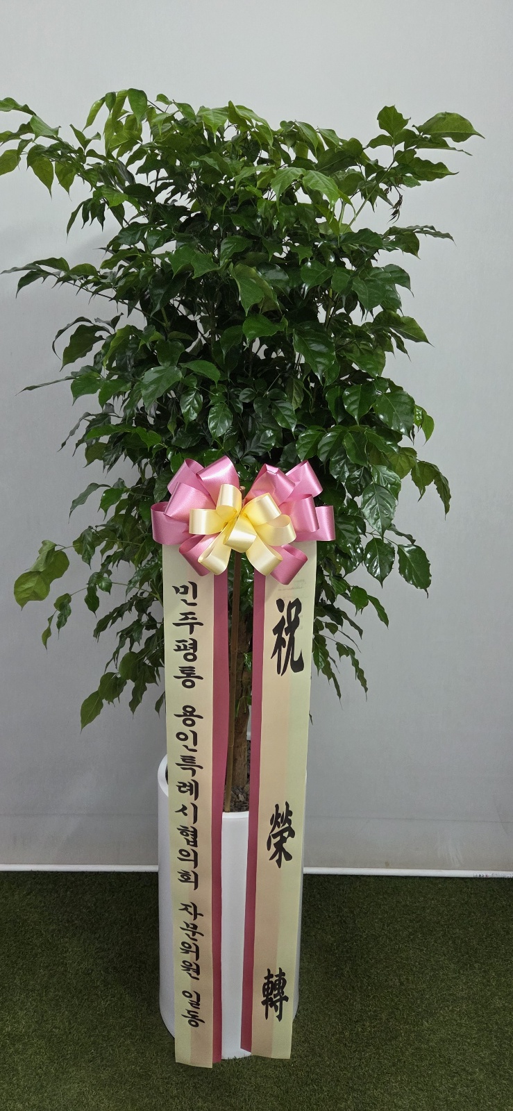 업로드 이미지