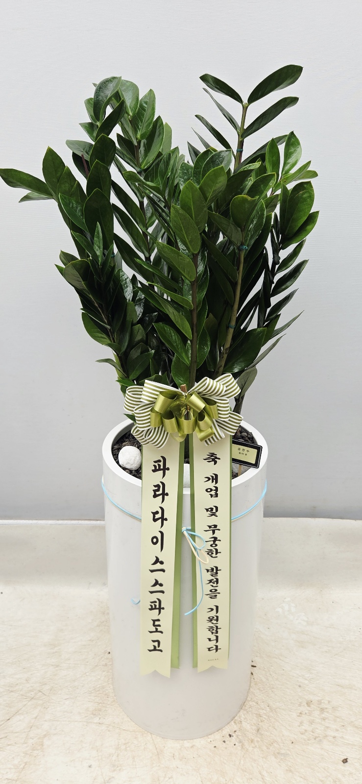 업로드 이미지