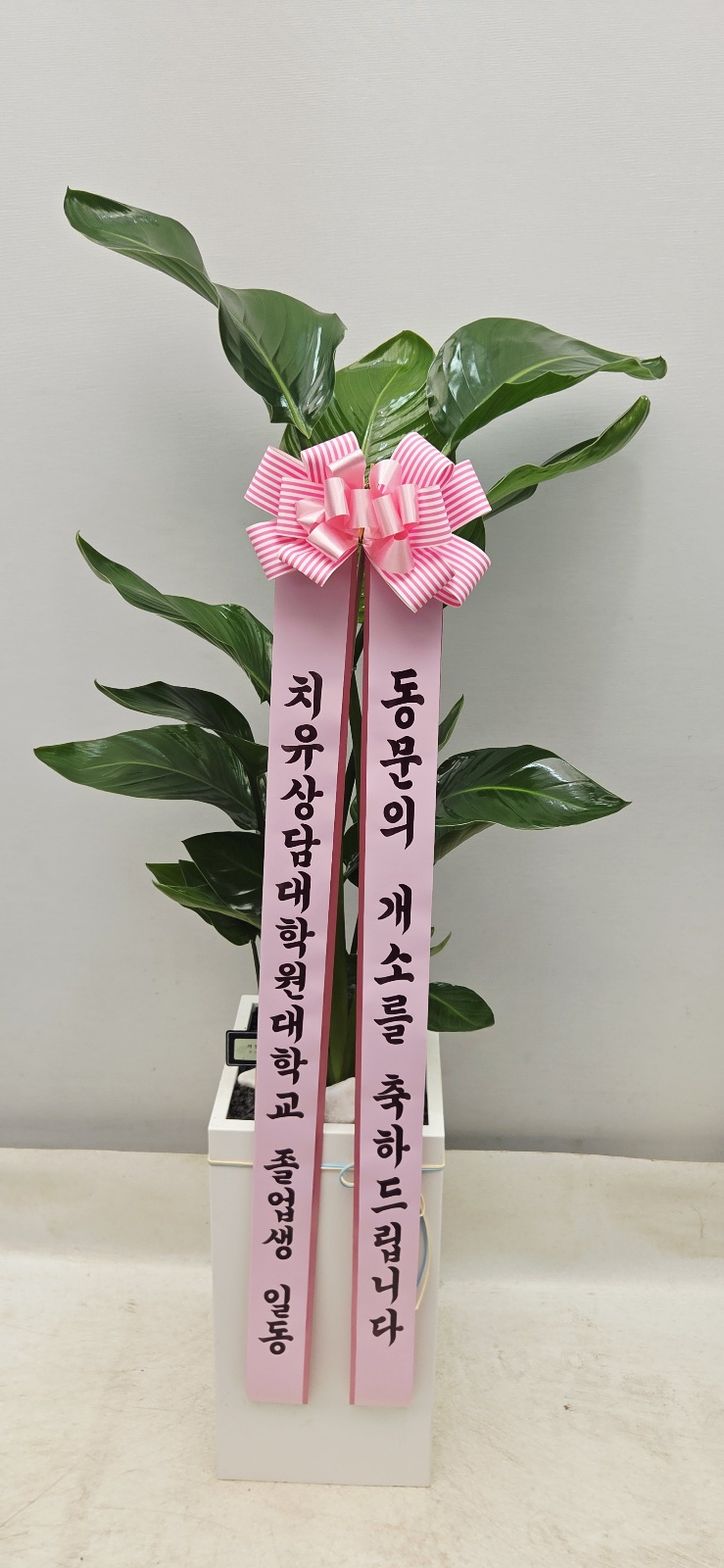 업로드 이미지