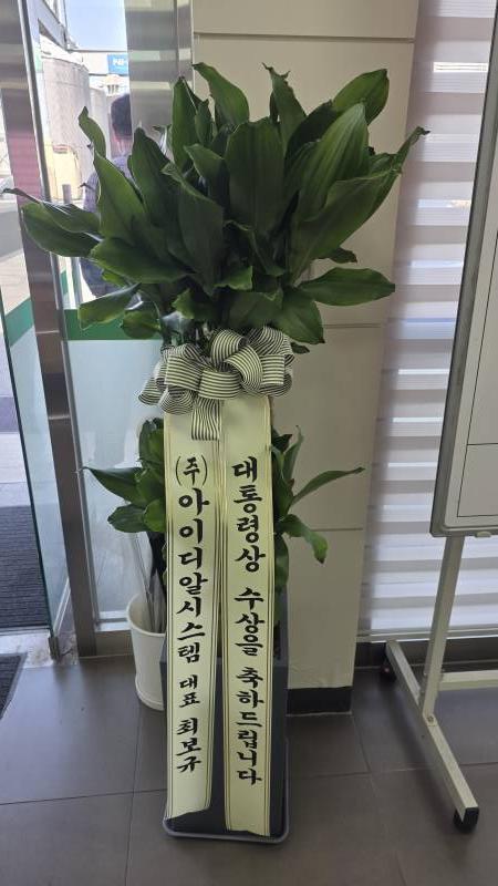 업로드 이미지
