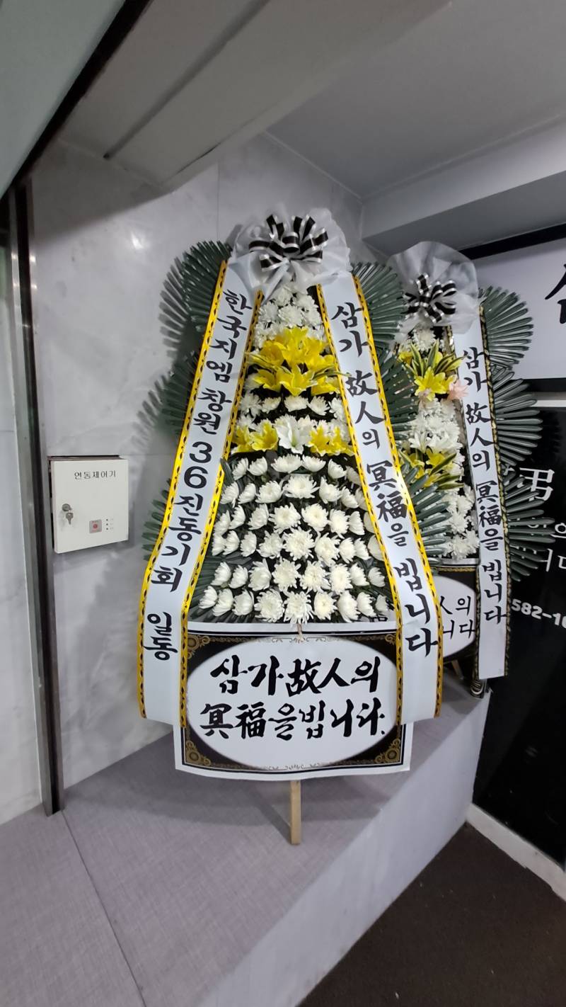 업로드 이미지