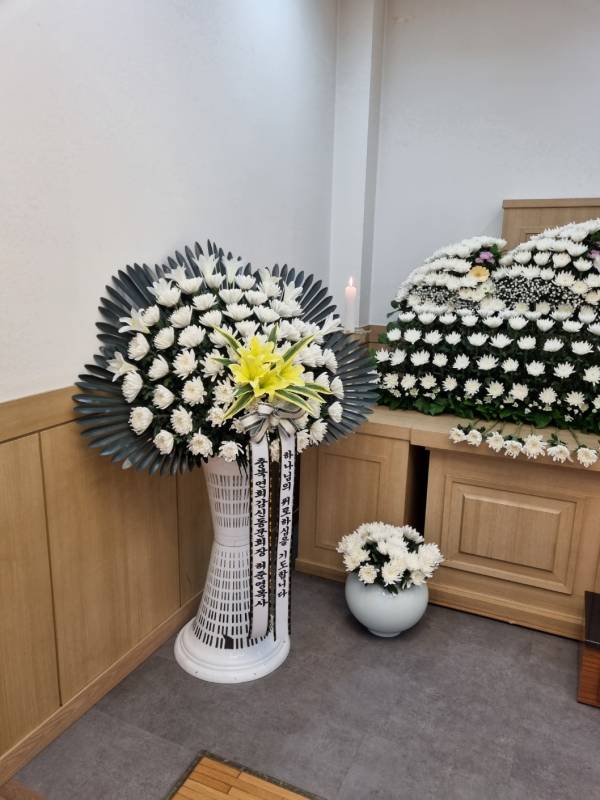 업로드 이미지