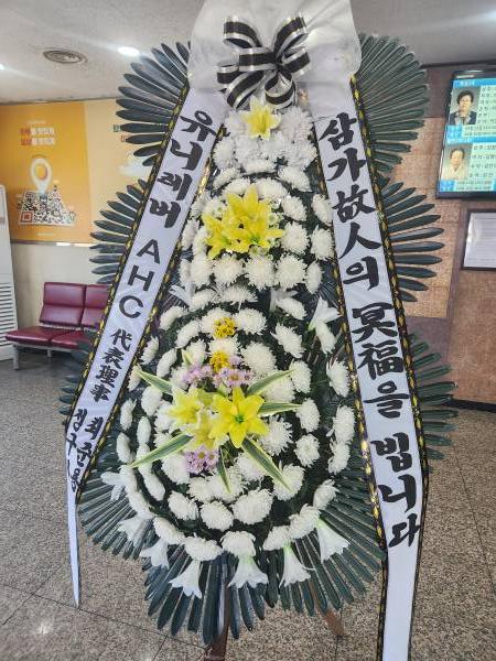 업로드 이미지