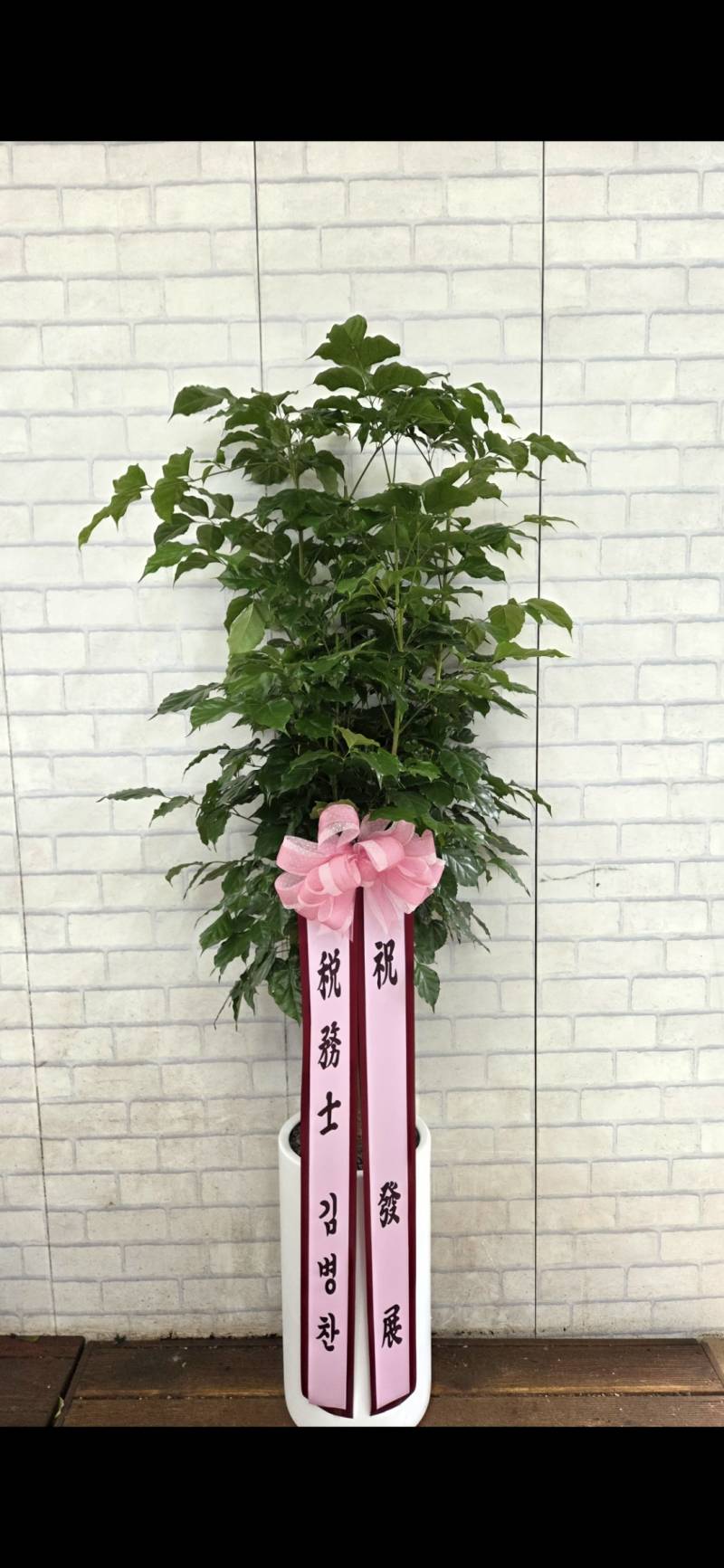 업로드 이미지