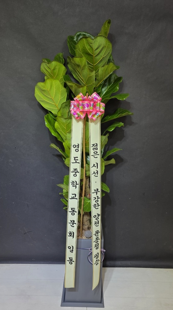 업로드 이미지