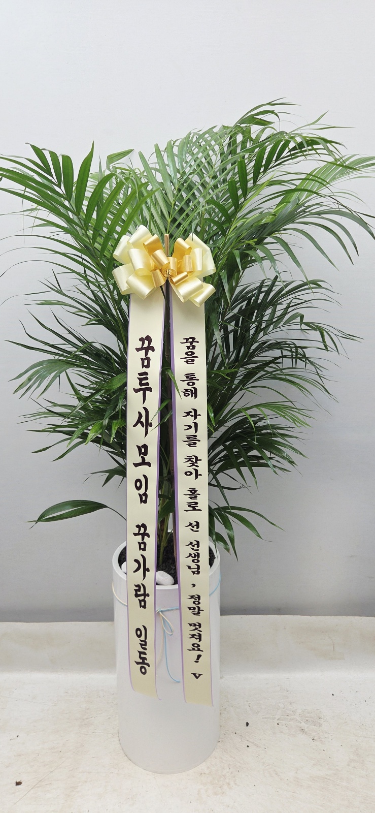 업로드 이미지