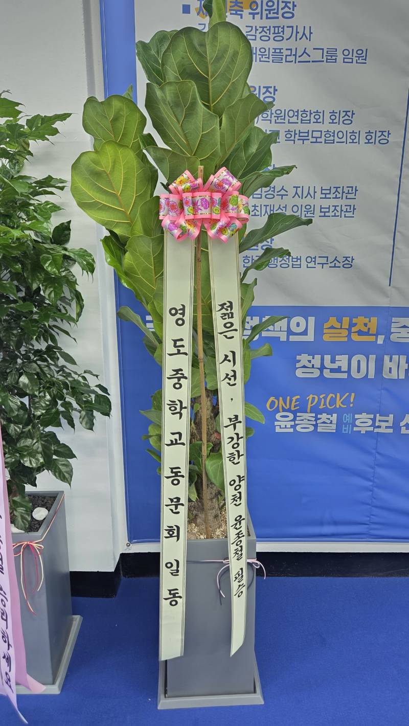 업로드 이미지