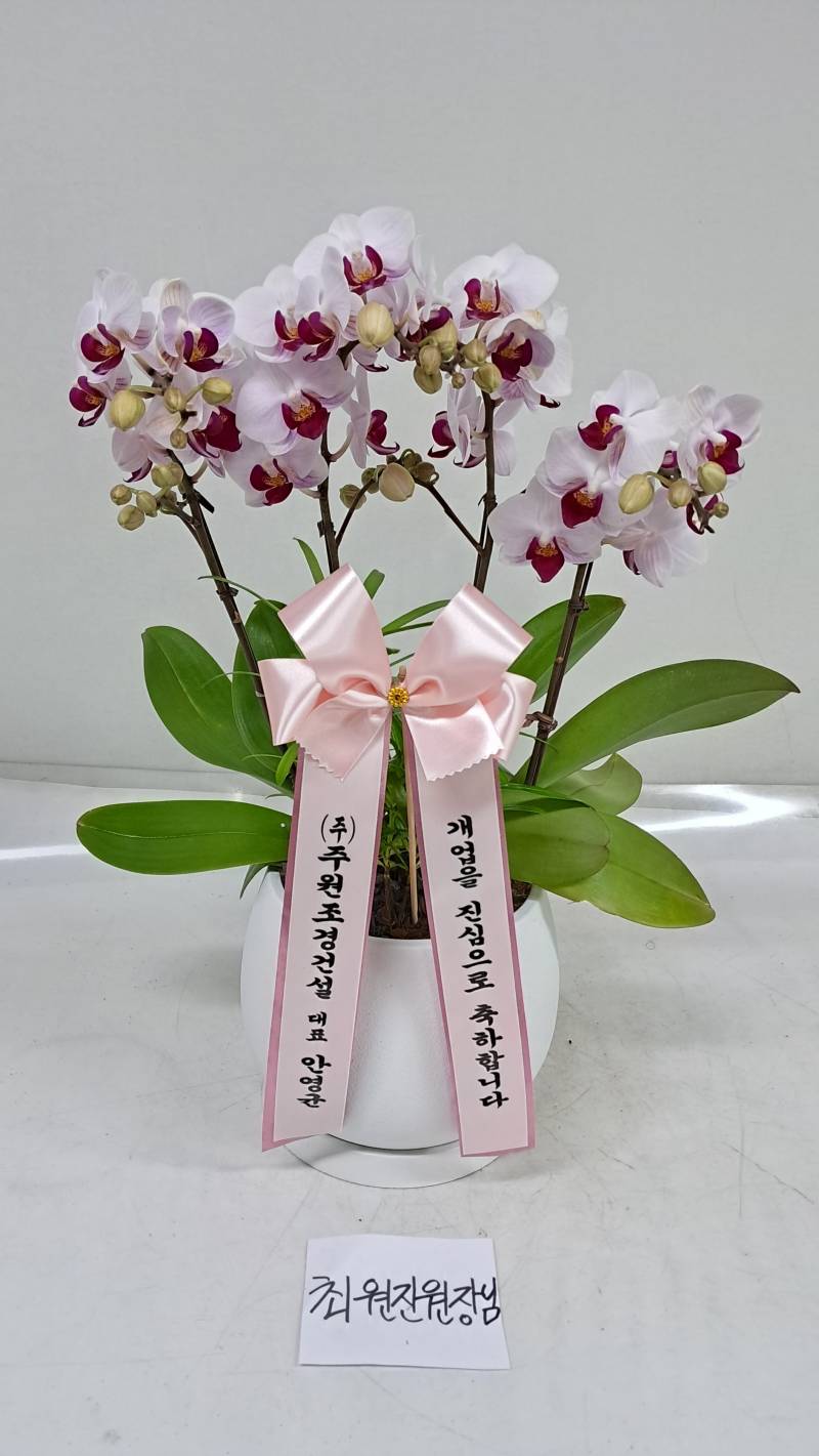 업로드 이미지